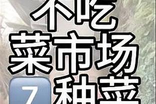 官方：澳超惠灵顿凤凰与津门虎达协议，在一线队、青训方面合作